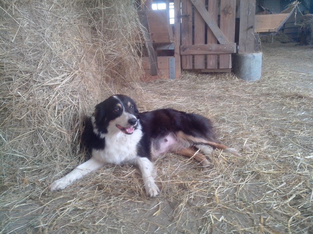 Funny girl des Plateaux du Haut-Doubs